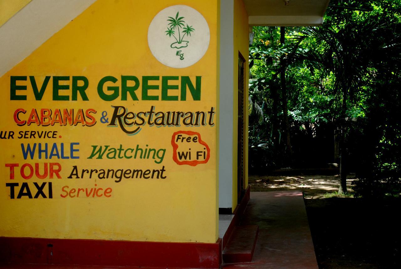 Ever Green Mirissa Eksteriør bilde