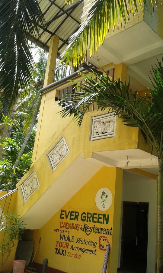 Ever Green Mirissa Rom bilde